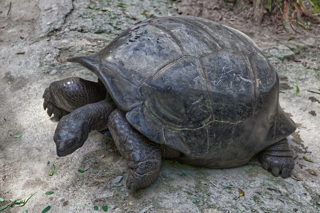 1H5A1352 | ansichtssache