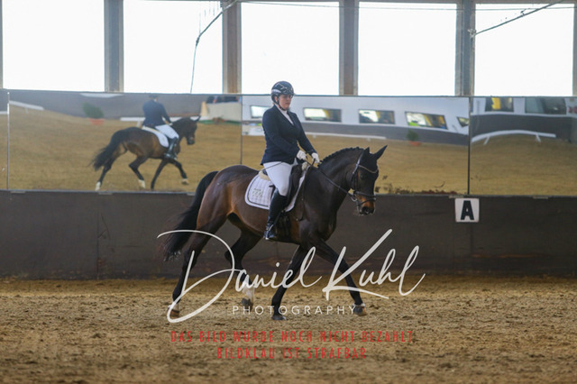 IMG_2791 | Turniersportfotografie; Pferdefotografie; Dressurfotografie