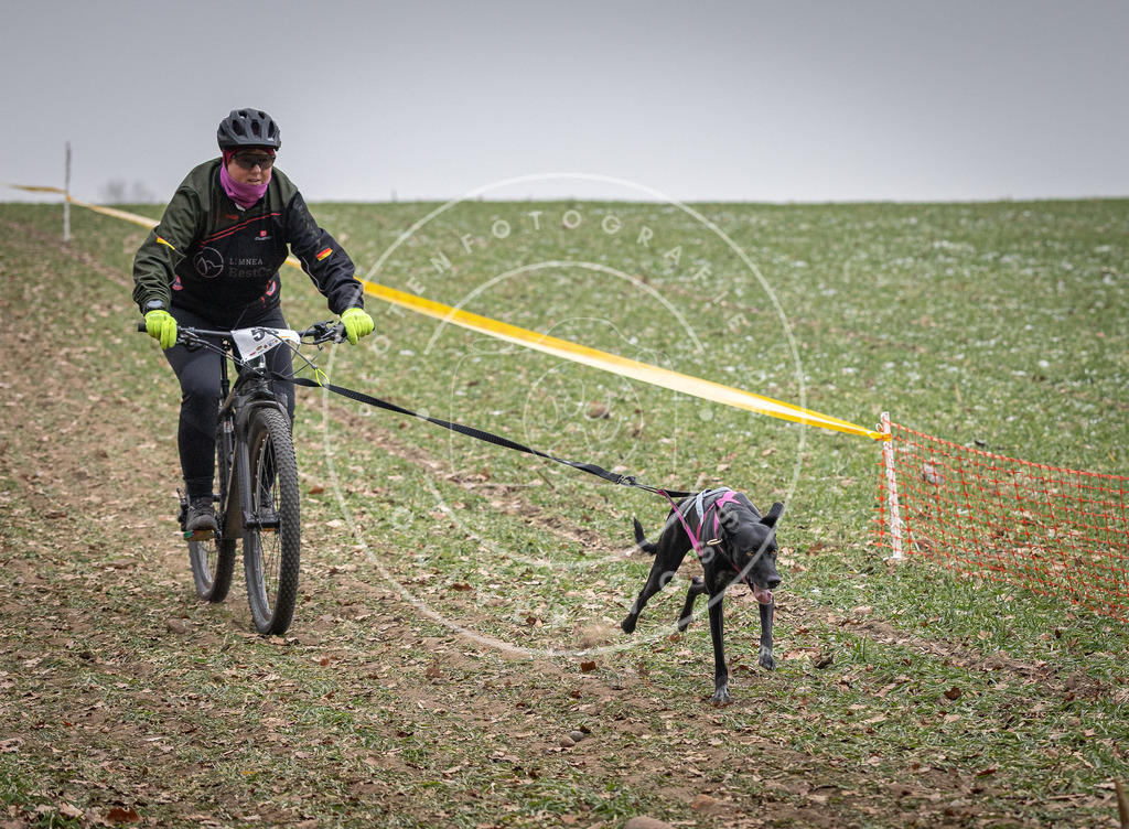 Pfotenfotografie_DV3A1629 | Hundefotografie, Tierfotograf, Pfotenfotografie, Fotoshooting Hund, Hunde Portrait, Hundesport, Hundeportraits, Heideshooting, Hunde, Sportfotograf, Hundefotograf, Turnierhundsport, THS,  - Realisiert mit Pictrs.com