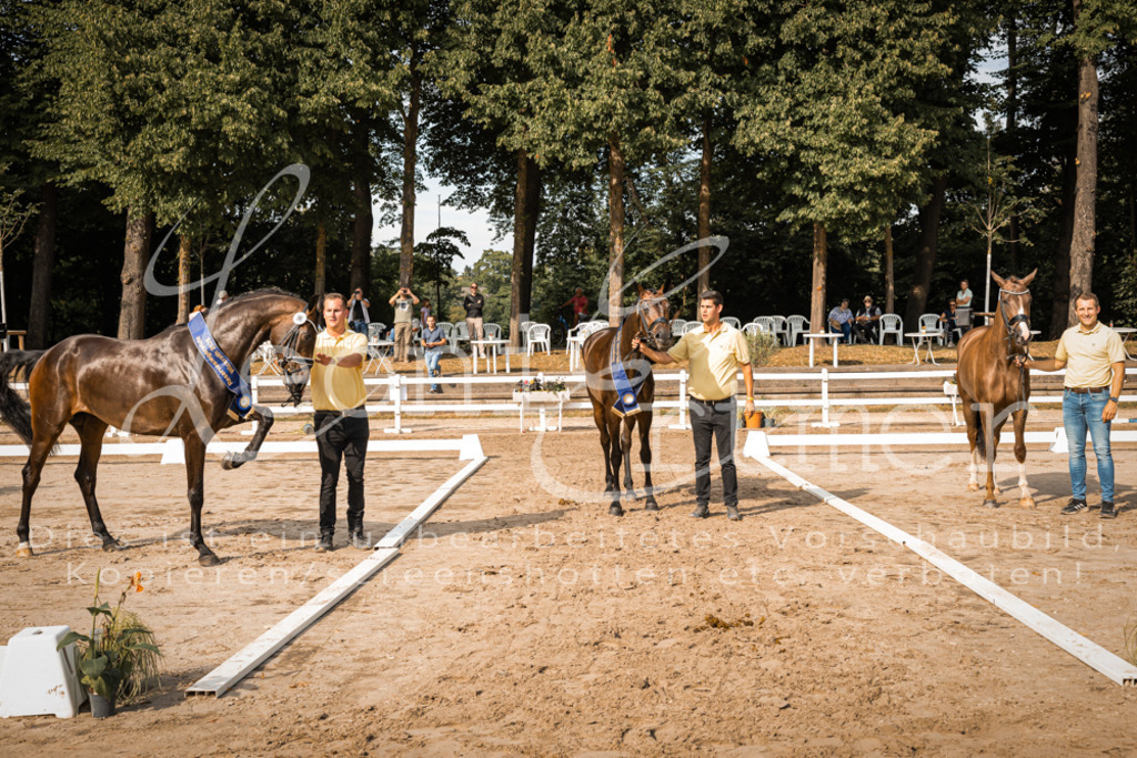 FrER00280 | Leoni Ertmer Photography - Realisiert mit Pictrs.com