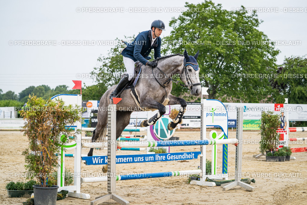 DSC09253 | Pferdegrafie