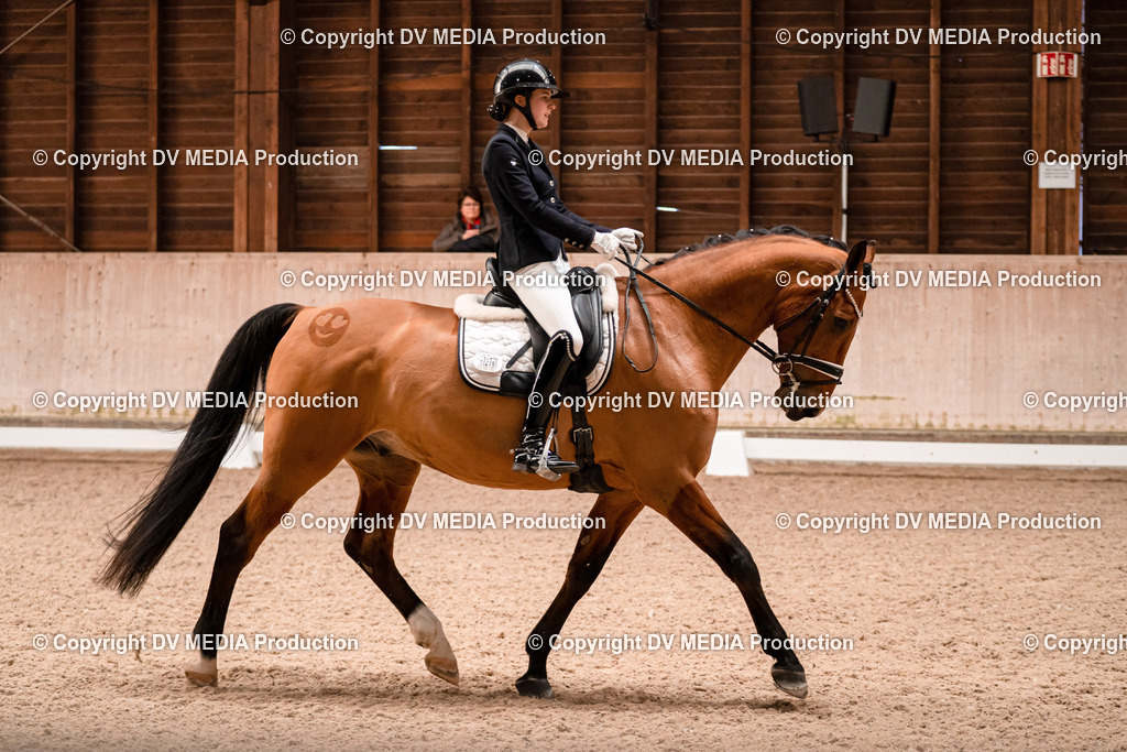 Dressur Tag 2-171 | dv-media-shop - Realisiert mit Pictrs.com