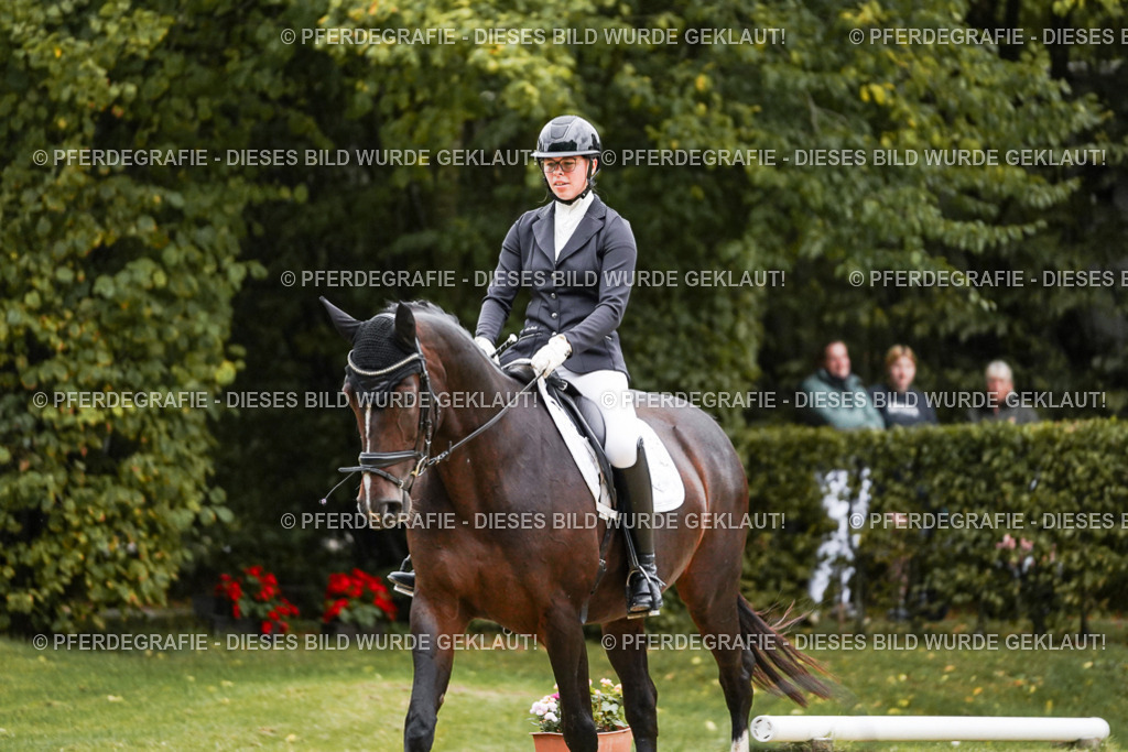 DSC06702 | Pferdegrafie