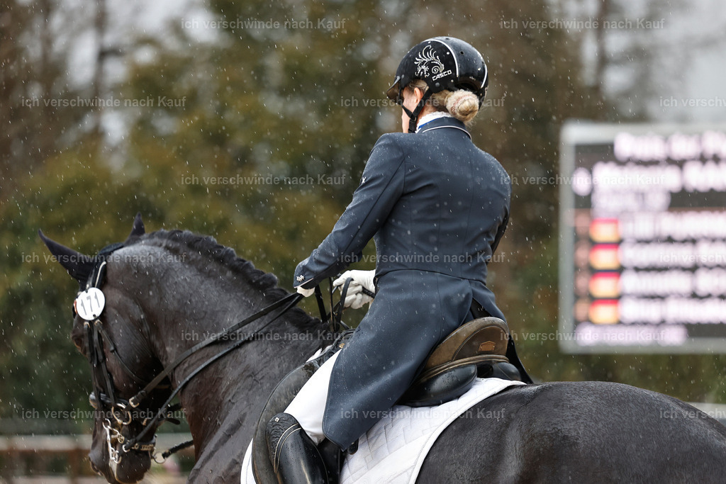 8_2-171-DRESSUR S_  -StoibPH-4493 | working equitationturnier fotograf videograf stoibphotography marixx film working equitation deutschland reitsport turnierfotografie eventfotografie equestrian events