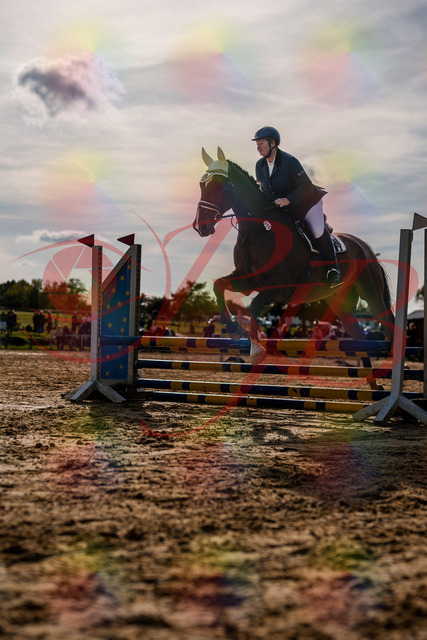 2026_10_03_Siefer-Hof_160615_Z63_12322598 | Professionelle Reitsport-, Turnier- und Eventfotografie von Robert Broda. Galerien mit ausgewählten und bearbeiteten Bildern direkt online ansehen und bestellen.
