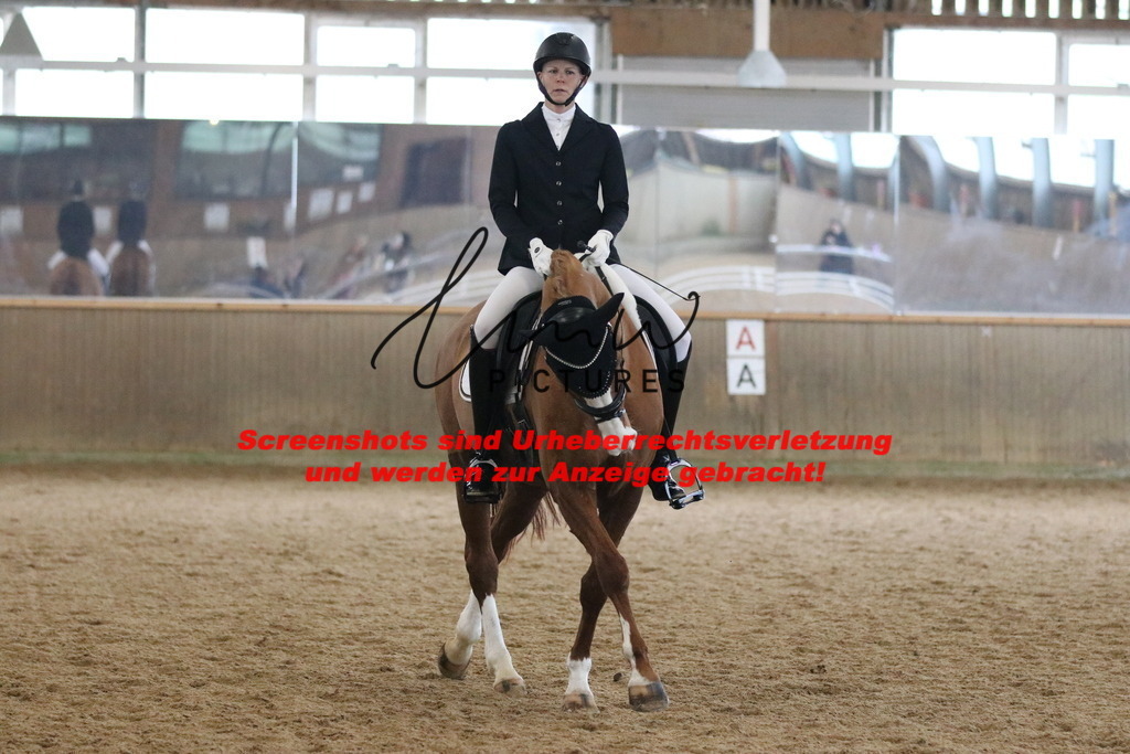 IMG_6995 | lmwpictures - Realisiert mit Pictrs.com