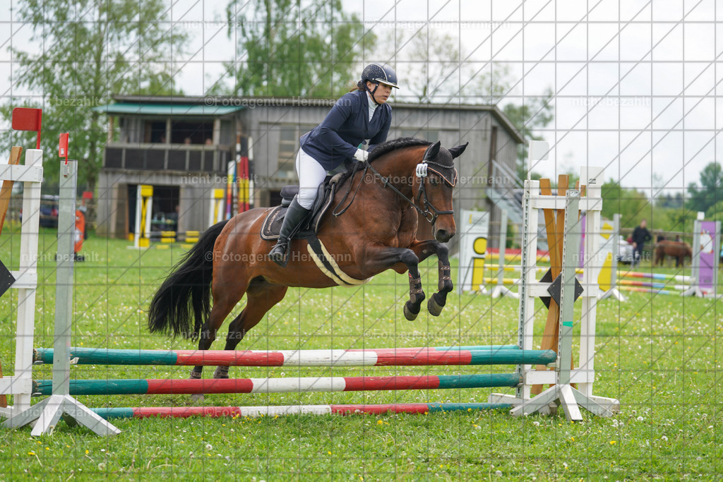 20240509-FAH02420 | Turnierbilder der Turnierfotografen Bayern, Pferdesport Fotografie, Reitsportbilder, Turnier Landberg am Lech, Turnierbilder bayern, Fotoagentur Herrmann