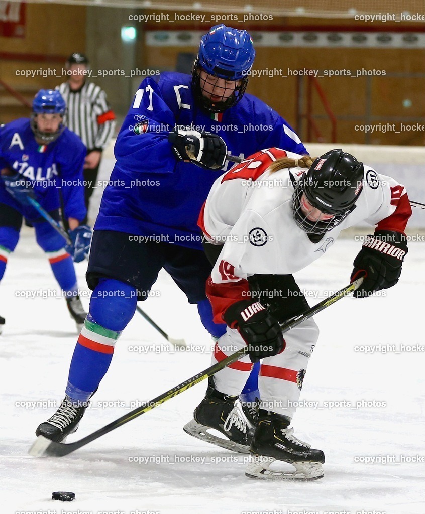 MOWE3935 | hockey sports photos, Pressefotos, Sportfotos, hockey247, win 2day icehockeyleague, Handball Austria, Floorball Austria, ÖVV, Kärntner Eishockeyverband, KEHV, KFV, Kärntner Fussballverband, Österreichischer Volleyballverband, Alps Hockey League, ÖFB, 