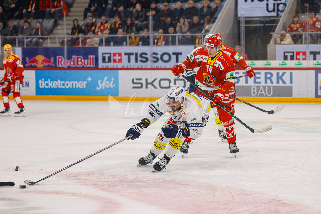 EHCB vs HCAP 20260115_wb-4113 | Sportbilder, Sportfotograf, Hochzeits- und Eventfotografin, Flugshows, Portraits und Tiershooting, Aviation, Downhill, Nationalleague, Swissleague, International