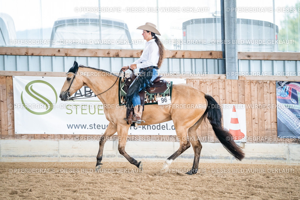 DSC03566 | Pferdegrafie