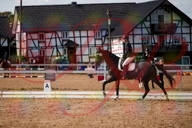 2026_10_03_Siefer-Hof_132356_Z63_86130869 | Professionelle Reitsport-, Turnier- und Eventfotografie von Robert Broda. Galerien mit ausgewählten und bearbeiteten Bildern direkt online ansehen und bestellen.