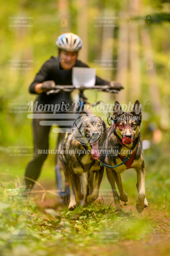 MompixPhotography_Yens2025_B2-123 | PayLife