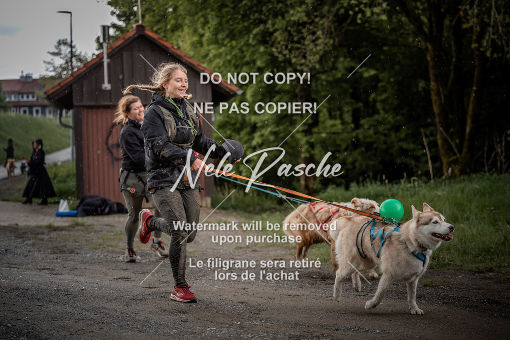 nelerasche_SoZieleinlauf_278 | nelerasche