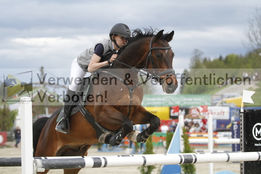 _MG_7733 | equestrian-live-com
