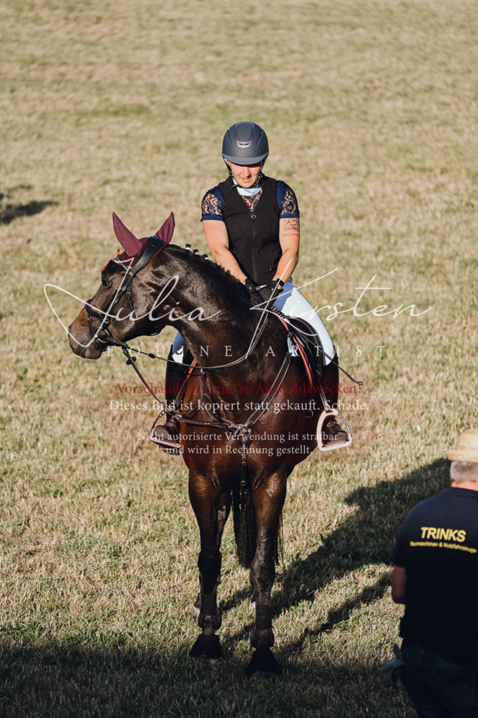 DSC_3277 | Pferde- und Turnierfotografie in Westsachsen. Pferdeportraits, Auftragszeichnungen und intuitive Kunst.