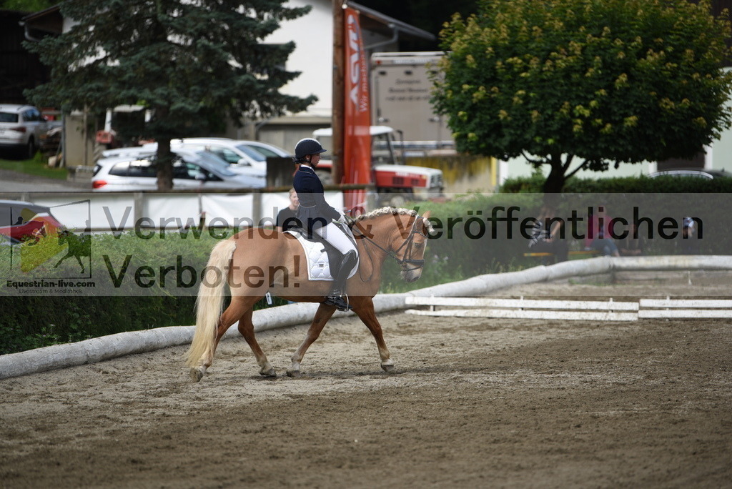 DSC_4983 | equestrian-live-com