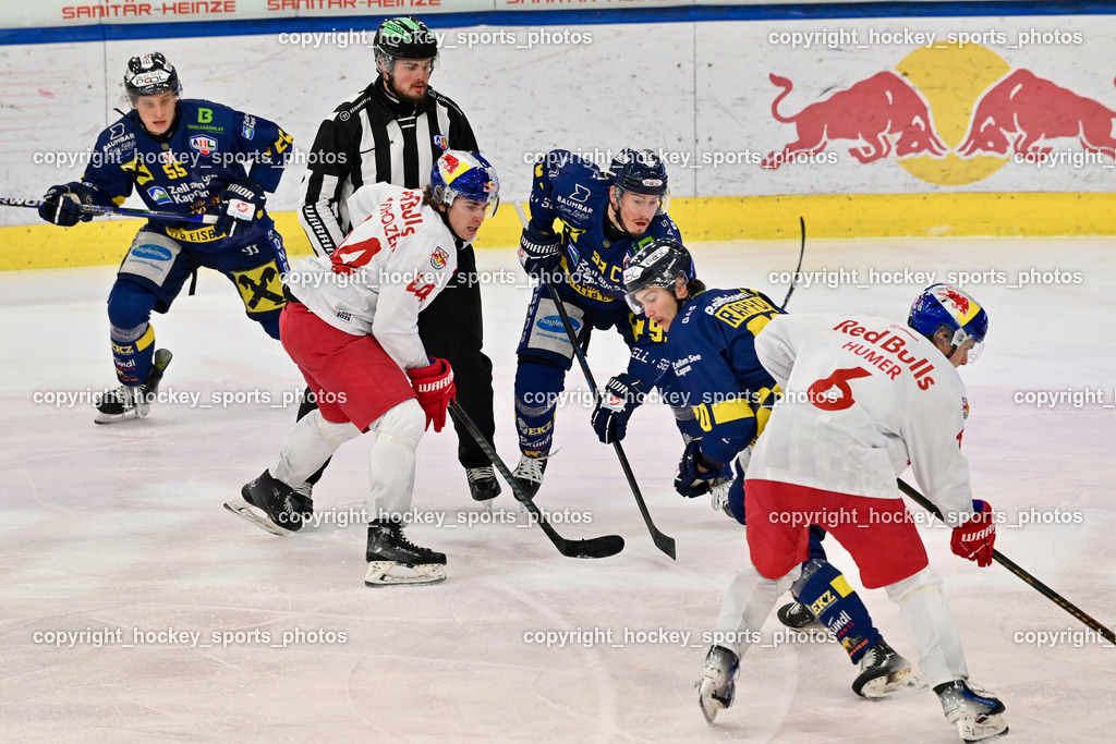 RED BULL HOCKEY JUNIORS vs. EK DIE ZELLER EISBÄREN | #6 Humer Constantin RED BULL HOCKEY JUNIORS, #20 Rappold Kilian EK DIE ZELLER EISBÄREN, #93 Johansson Robin EK DIE ZELLER EISBÄREN, #44 Sandholzer Laurin RED BULL HOCKEY JUNIORS, #55 Lindner Lorenz EK DIE ZELLER EISBÄREN, ZACHERL Patrick Referee, RED BULL HOCKEY JUNIORS vs. EK DIE ZELLER EISBÄREN, RED BULL HOCKEY JUNIORS vs. EK DIE ZELLER EISBÄREN am 14.01.2025 in Salzburg (Eisarena Salzburg), Austria, (Photo by Bernd Stefan)