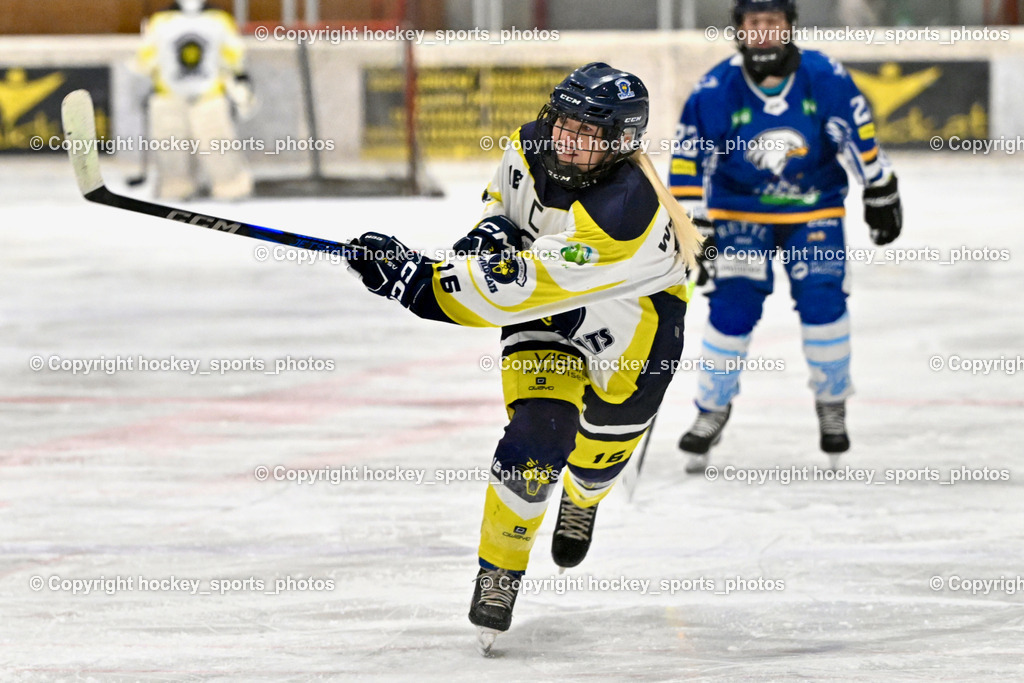 Wildcats Paternion vs. Lady Hawks  | #16 Anton Sandra WILDCATS PATERNION, Wildcats Paternion vs. Lady Hawks , Wildcats Paternion vs. Lady Hawks  am 27.01.2025 in Spittal an der Drau (Eissportzentrum Spittal), Austria, (Photo by Bernd Stefan)