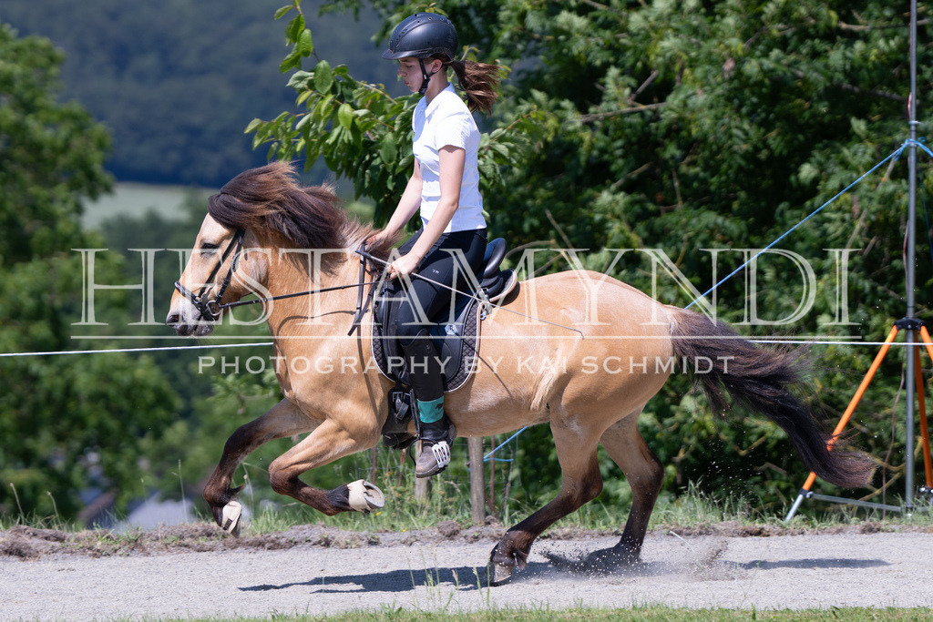 KAI05314 | Ihr sucht einen Fotografen für eure nächste OSI? Ich begleite auch euer Turnier für Islandpferde fotografisch.  - Realisiert mit Pictrs.com