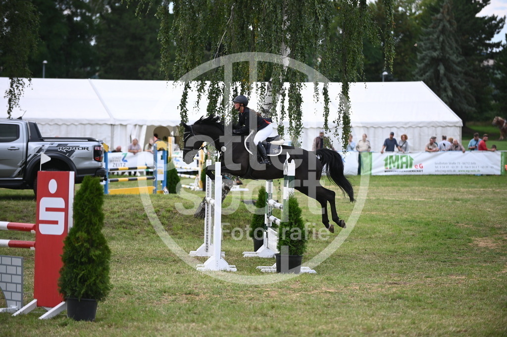 DSC_7128 | sattelsport - Realisiert mit Pictrs.com