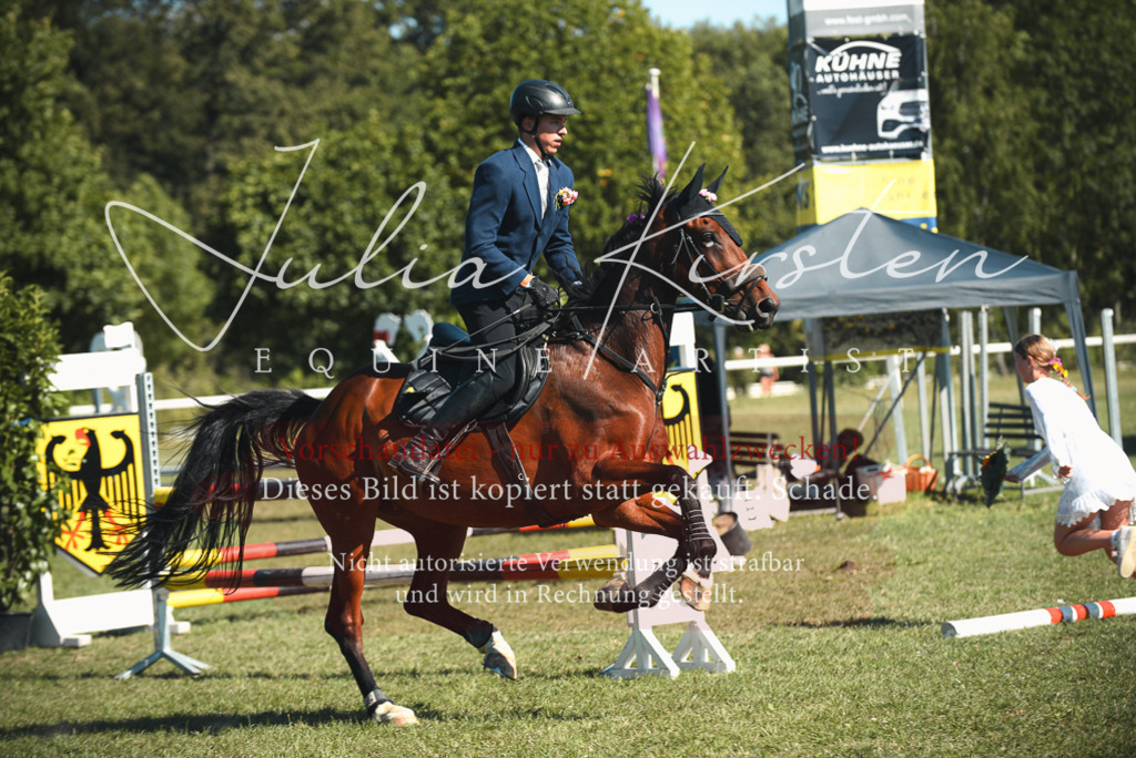 DSC_7707 | Pferde- und Turnierfotografie in Westsachsen. Pferdeportraits, Auftragszeichnungen und intuitive Kunst.