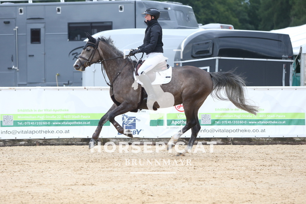 DL2Q4245 | Willkommen bei Brunnmayr - Design & Fotografie – Ihrem Spezialisten für Reitturniere und Pferdeveranstaltungen in Oberösterreich, Salzburg und Bayern! Seit über 17 Jahren sind wir leidenschaftlich dabei.