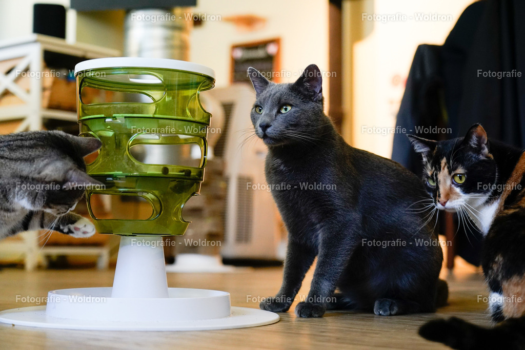 20230403 Nürnberg-35 | Fotografie Woldron