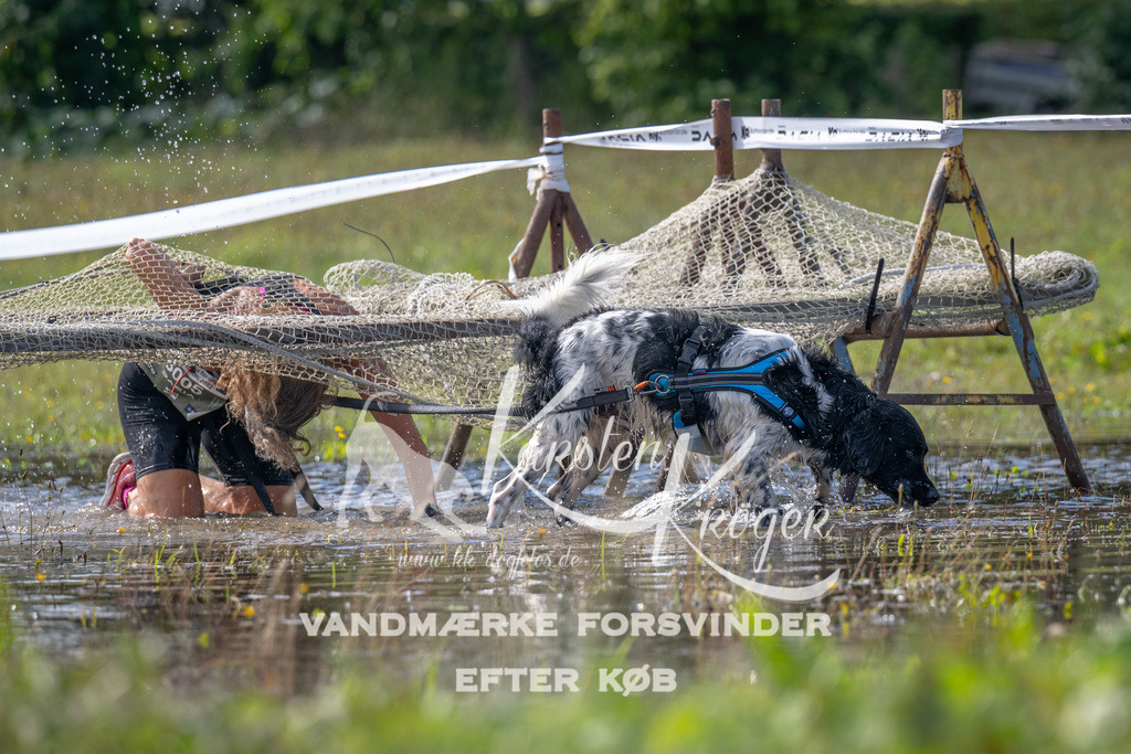 1147_ZZ91621 | kk-dogfotos