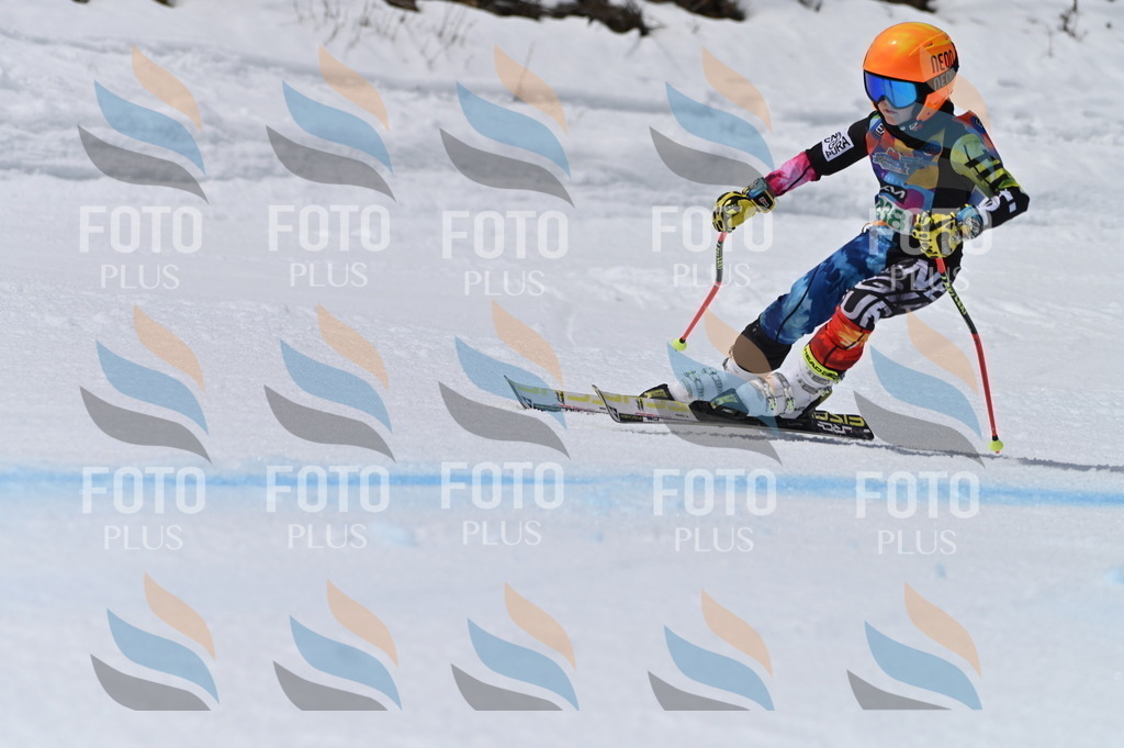 BGV_6706 | holidayphoto