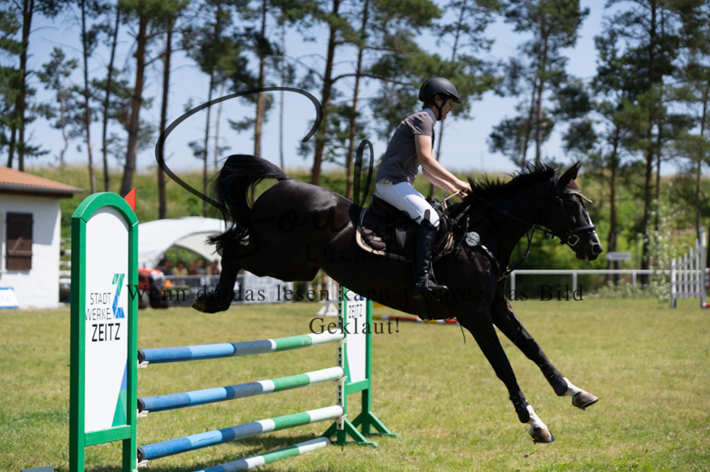 A7V05913 | Pferdefotograf