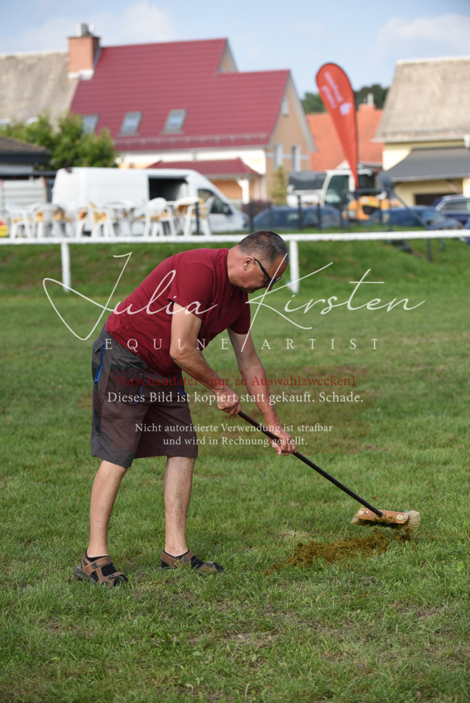 DSC_8853 | Pferde- und Turnierfotografie in Westsachsen. Pferdeportraits, Auftragszeichnungen und intuitive Kunst.