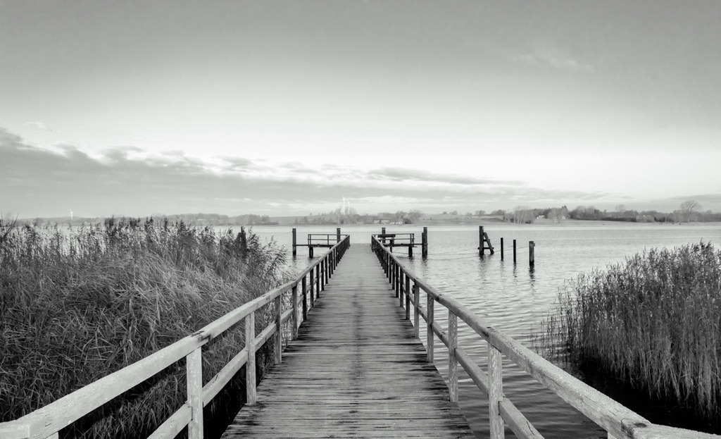 Wandbild: Anleger in Sieseby in Schwarz-Weiß | Dieses Wandbild zeigt den Anleger in Sieseby an der Schlei in Schwarz-Weiß. Der Steg steht inmitten von Schilf. Nur am Horizont befinden sich einige Wolken - Realisiert mit Pictrs.com