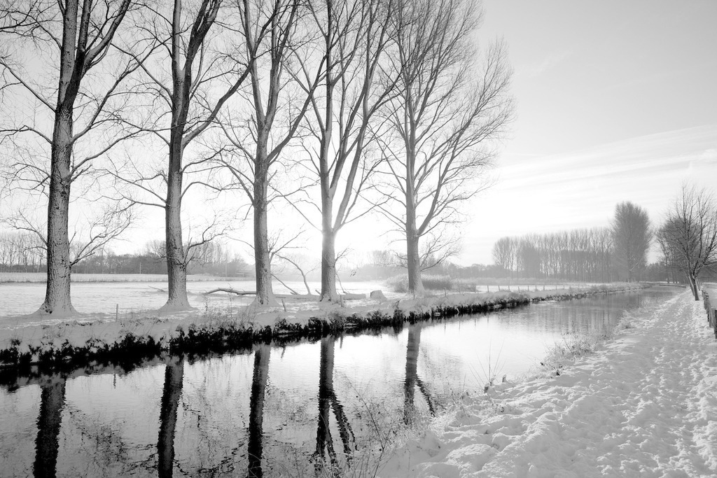 091221-033 | Europa, DEU, Deutschland, Nordrhein Westfalen, NRW, Rheinland, Niederrhein, Wachtendonk, Fluss, Die Niers, Flusslandschaft, Niersaue, Auenlandschaft, Winter, Schnee, Baeume, Pappeln, Kategorien und Themen, Natur, Umwelt, Landschaft, Jahreszeiten, Stimmungen, Landschaftsfotografie, Landschaften, Landschaftsphoto, Landschaftsphotographie, Naturschutz, Naturschutzgebiete, Landschaftsschutz, Biotop, Biotope, Landschaftsschutzgebiete, Landschaftsschutzgebiet, Oekologie, Oekologisch, Typisch, Landschaftstypisch, Landschaftspflege

[Fuer die Nutzung gelten die jeweils gueltigen Allgemeinen Liefer-und Geschaeftsbedingungen. Nutzung nur gegen Verwendungsmeldung und Nachweis. Download der AGB unter http://www.image-box.com oder werden auf Anfrage zugesendet. Freigabe ist vorher erforderlich. Jede Nutzung des Fotos ist honorarpflichtig gemaess derzeit gueltiger MFM Liste - Kontakt, Uwe Schmid-Fotografie, Duisburg, Tel. (+49).2065.677997, 
archiv@image-box.com, www.image-box.com] - Realisiert mit Pictrs.com
