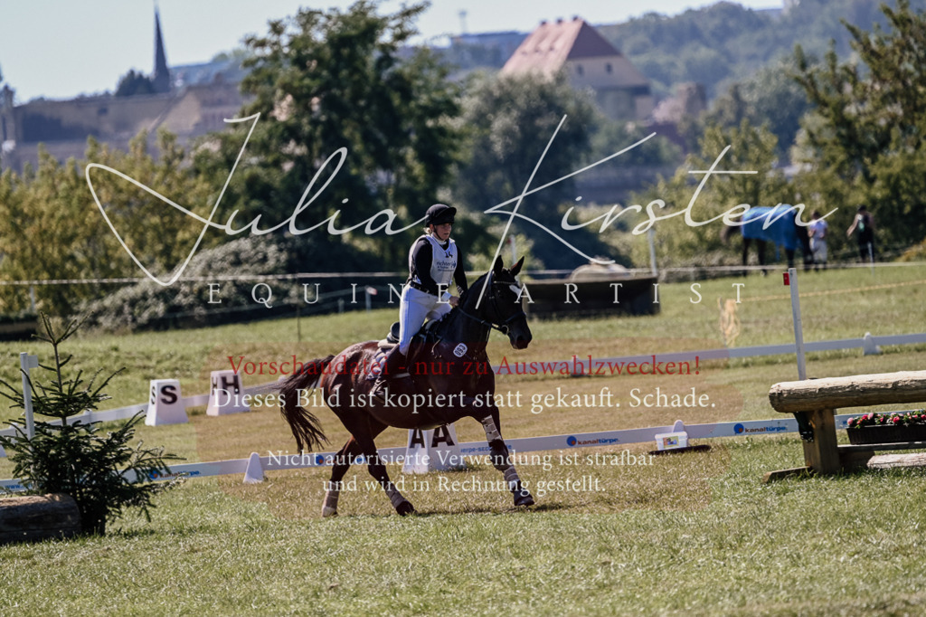 DSC_1841 | Pferde- und Turnierfotografie in Westsachsen. Pferdeportraits, Auftragszeichnungen und intuitive Kunst.