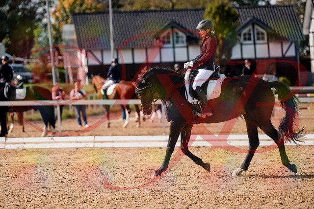 2026_10_03_Siefer-Hof_133639_Z63_97363943 | Professionelle Reitsport-, Turnier- und Eventfotografie von Robert Broda. Galerien mit ausgewählten und bearbeiteten Bildern direkt online ansehen und bestellen.