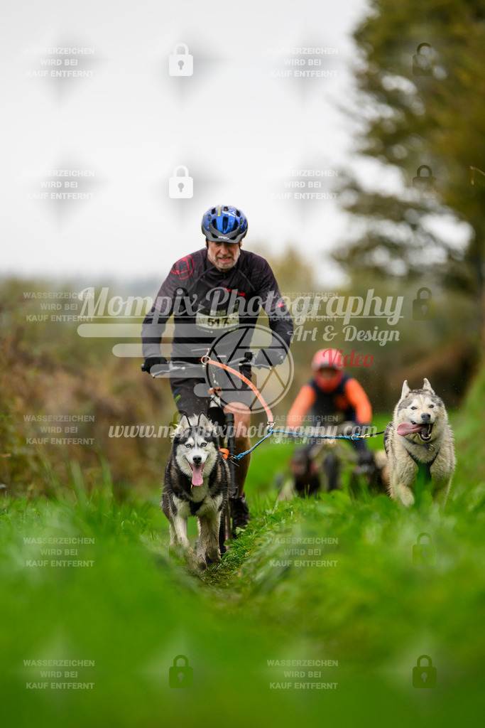 MompixPhotography_20TSB_E8_DS2-28 | PayLife