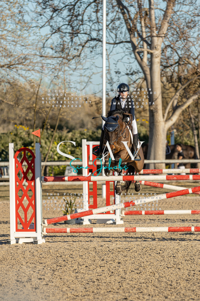 IMG_2458 | s-jay-photography - Realisiert mit Pictrs.com