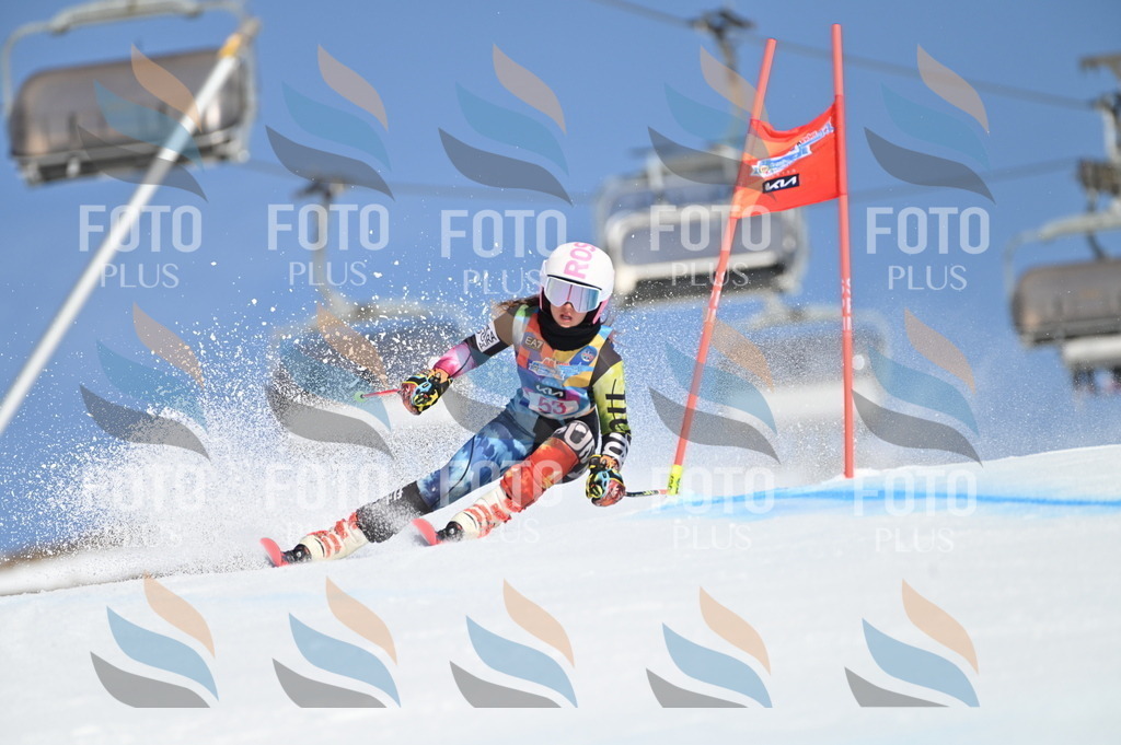 BGV_8584 | holidayphoto