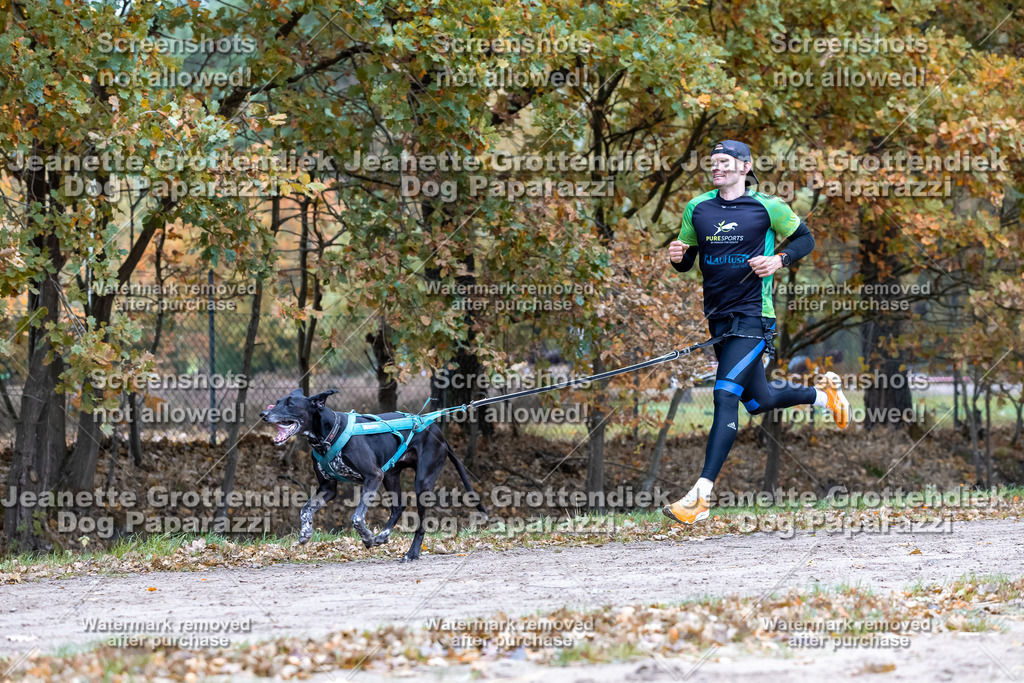 Dog Paparazzi - SD CaniX Championship 2025-532 | Dog Paparazzi Jeanette Grottendiek Fotografie & Videografie - Realisiert mit Pictrs.com