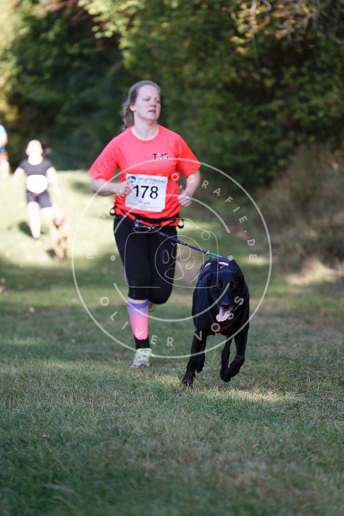 0L8A5417 | Hundefotografie, Tierfotograf, Pfotenfotografie, Fotoshooting Hund, Hunde Portrait, Hundesport, Hundeportraits, Heideshooting, Hunde, Sportfotograf, Hundefotograf, Turnierhundsport, THS,  - Realisiert mit Pictrs.com