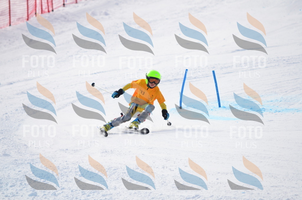 C8323 | holidayphoto