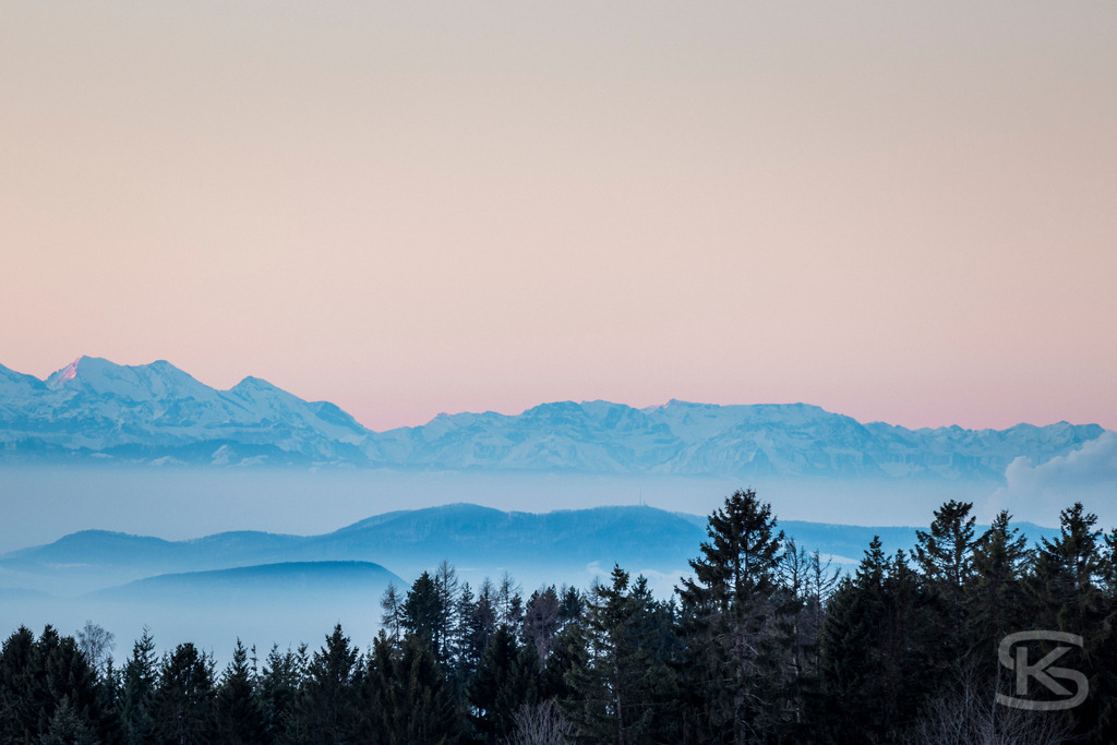 Alpenpanorama im Morgenrot – Nebelschwaden über bewaldeten Hügeln | Stimmungsvolle Landschaftsfotografie der Alpen im ersten Morgenlicht. Blaue Bergsilhouetten mit rosa Himmel, Nebelschwaden über bewaldeten Hügeln und majestätisches Alpenpanorama von Stefan Kuhn. - Realisiert mit Pictrs.com