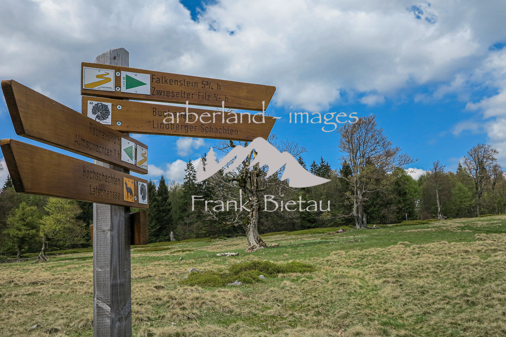 IMG_2079 | Wegweiser am Hochschachten