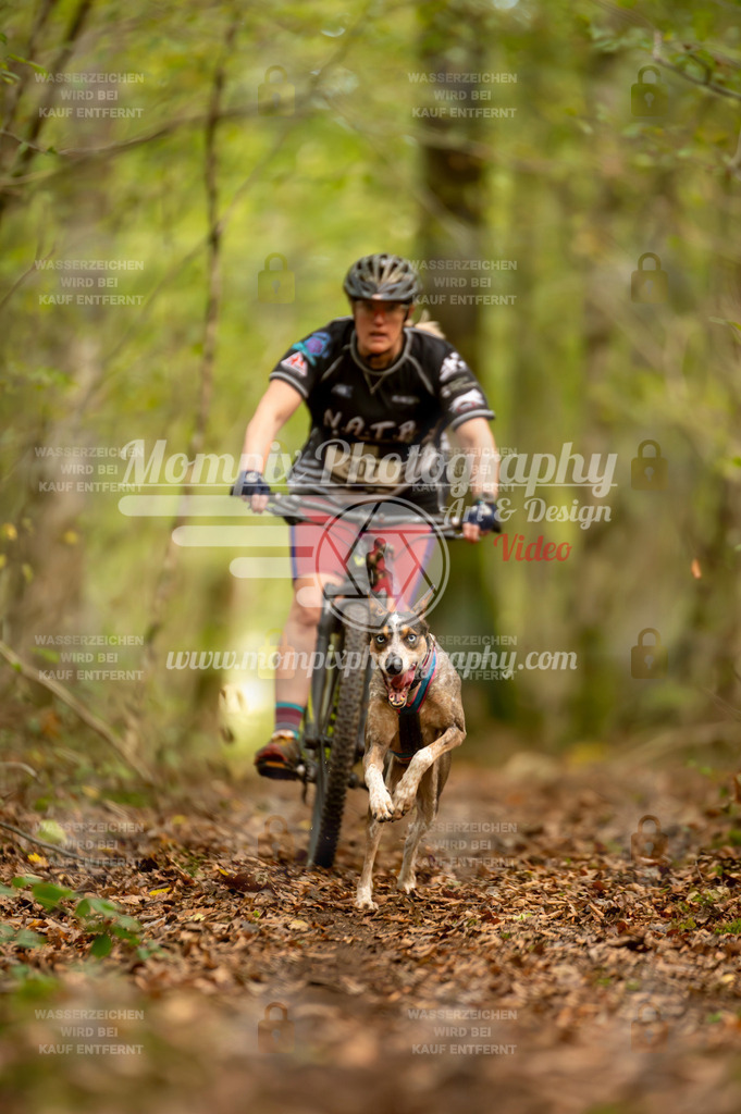 TSB_2023_E1_Bike-51 | PayLife