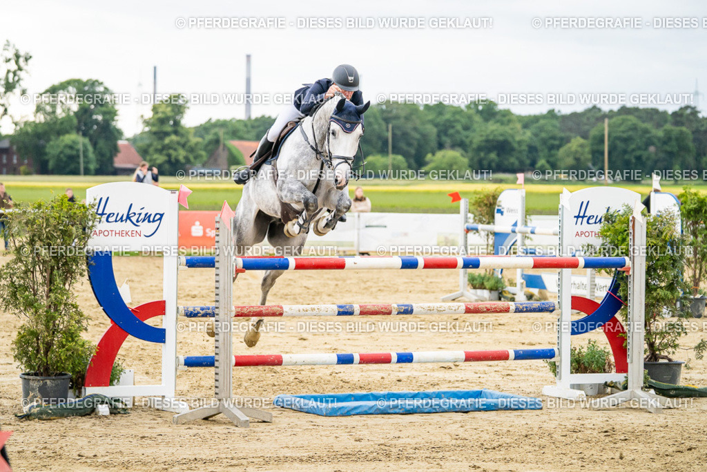 DSC06890 | Pferdegrafie