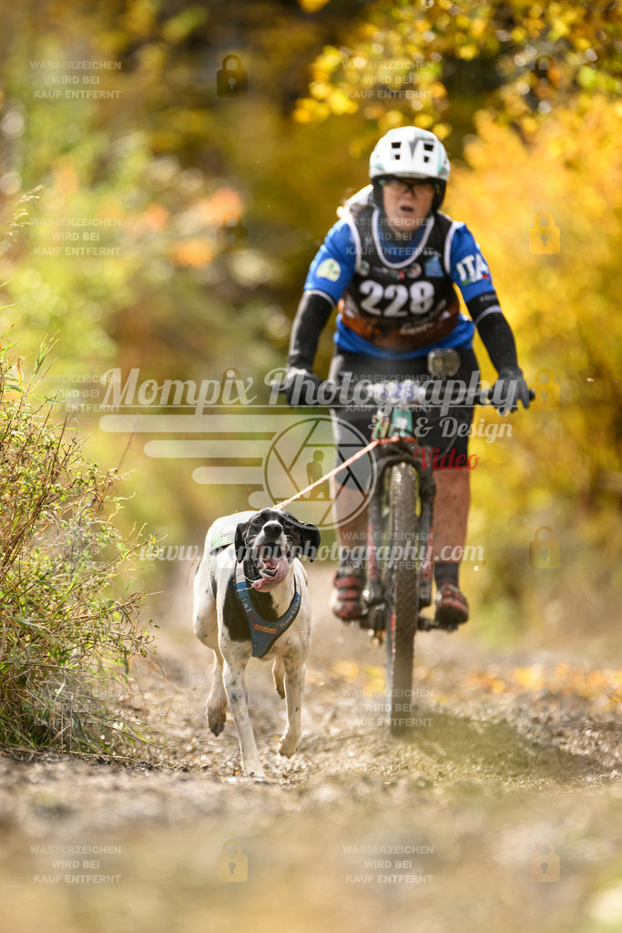 MompixPhotography_ICF_WC_2024_SA_Bike_-389 | PayLife