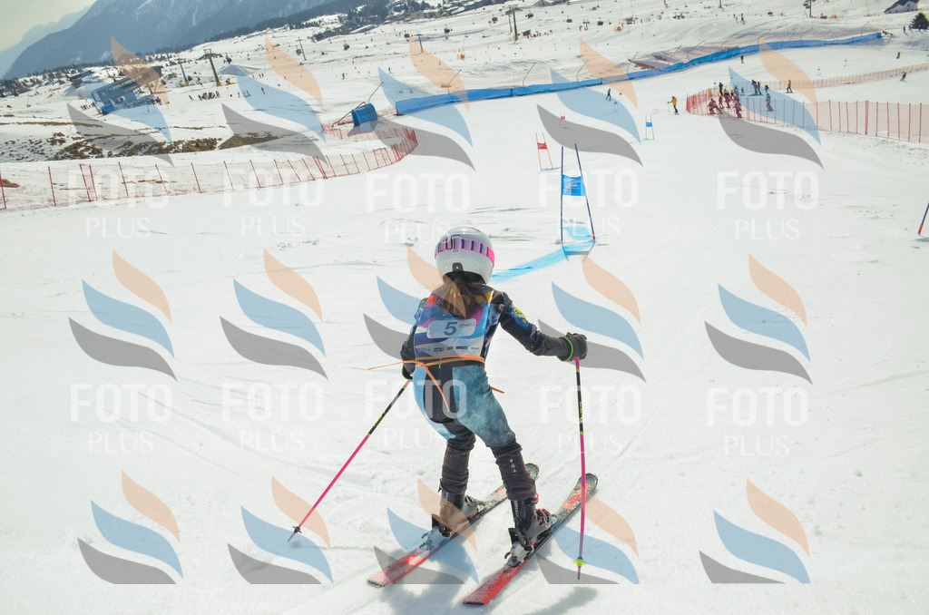 _ELE4438 | holidayphoto