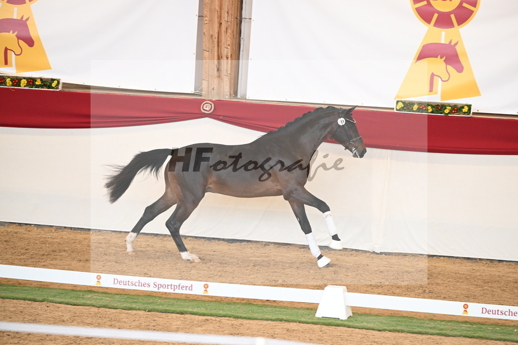 Kat.-Nr. 89 v. Vivaldon_Beckmann_2250845 | hf-fotografie - Realisiert mit Pictrs.com