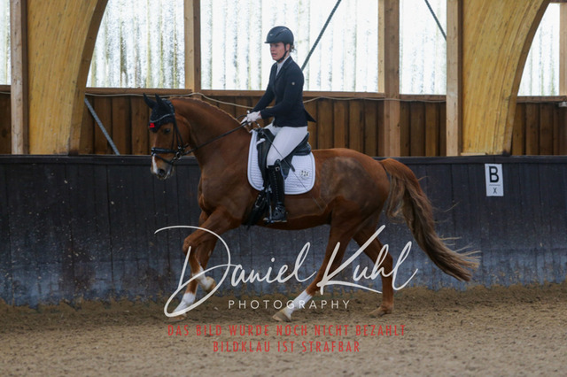 IMG_0306 | Deine Turnierfotos vom Reitturnier online kaufen: Dressur, Springen & Siegerehrung. Professionelle Pferdefotografie aus dem Rheinland – als Download & Print.Alternative: Turnierfotograf für den Pferdesport: Finde deine Fotos von Dressur- und Springturnier