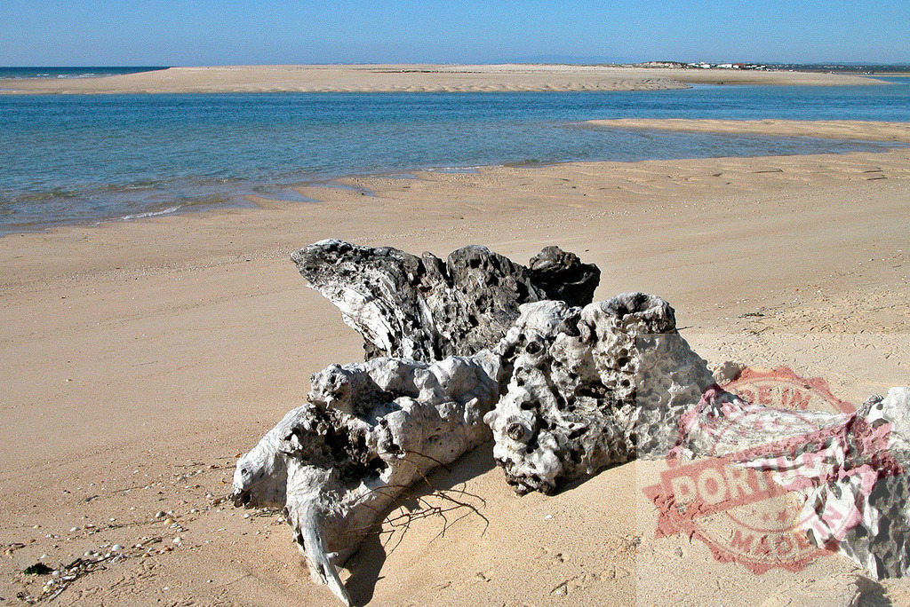 Driftwood resting on sandy beach by calm estuary water | Driftwood structure lying on a sandy beach next to blue estuary waters under a clear sky - Realized with Pictrs.com